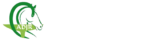 fondationadjr.com